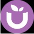 Ube Superfood